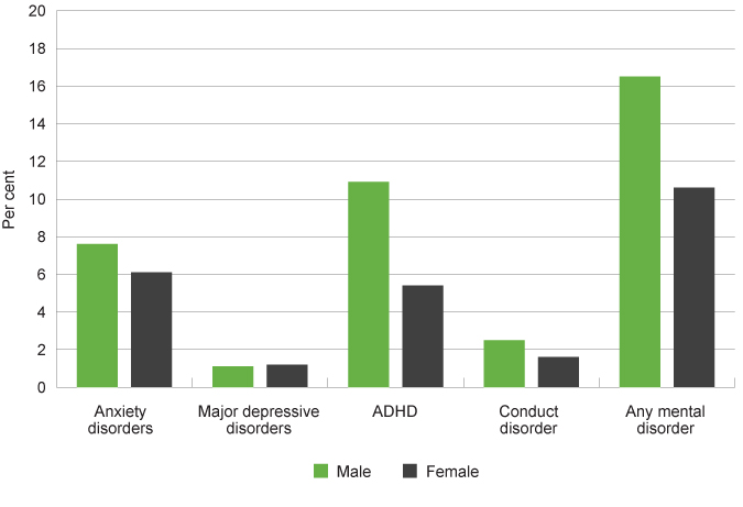 Graph 7