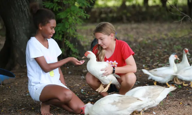 Page 15.1 Mental Health