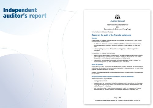 Auditor Report1