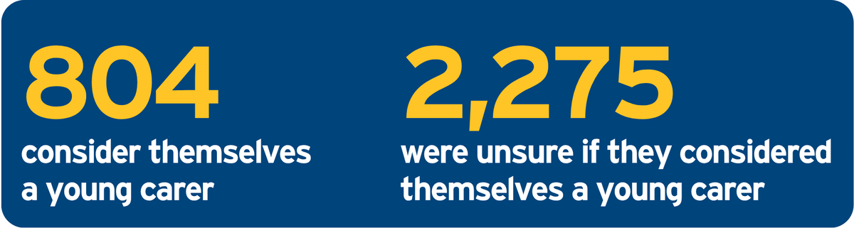 Snapshot Young Carers Stats 2